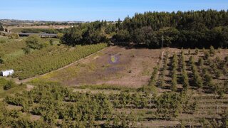 Land for sale in Bombarral, Portugal — €23,500