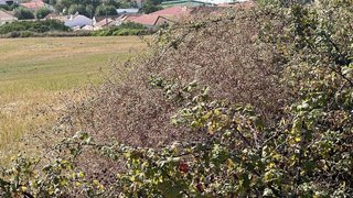 Land for sale in Alenquer, Portugal — €79,900