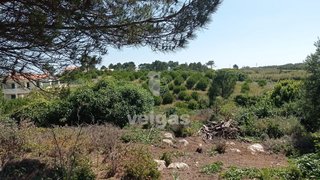 Land for sale in Peniche, Portugal — €79,500