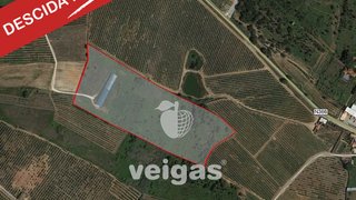 Land for sale in Cadaval, Portugal — €175,000