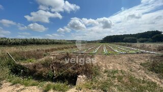 Land for sale in Peniche, Portugal — €146,000