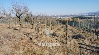 Land for sale in Bombarral, Portugal — €85,000