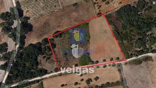 Land for sale in Cartaxo, Portugal — €60,000