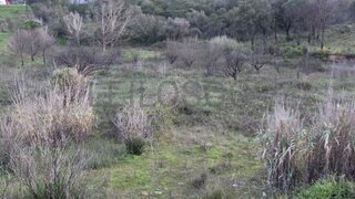 Terreno em Setúbal