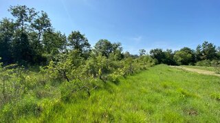Land for sale in Pombal, Portugal — €1,700
