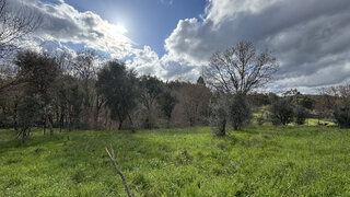 Land for sale in Figueiró dos Vinhos, Portugal — €40,000