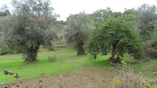 Land for sale in Idanha-a-Nova, Portugal — €29,500