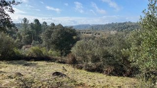 Land for sale in Abrantes, Portugal — €12,500