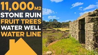 Terreno de 11 000 m² em Castelo Branco