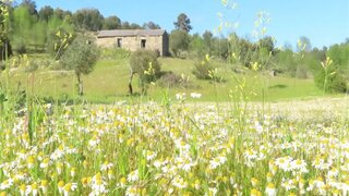Land for sale in Penamacor, Portugal — €132,500