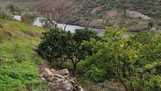 Land for sale in Figueira de Castelo Rodrigo, Portugal — €200,000