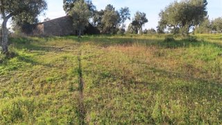 Land for sale in Idanha-a-Nova, Portugal — €28,900