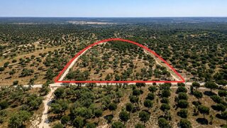 Land for sale in Benavente, Portugal — €299,500