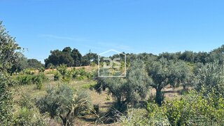 Terreno · 27 000 m² · 25 000 €