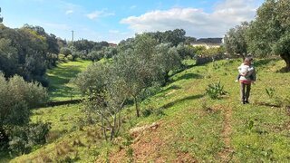 Land for sale in Torres Novas, Portugal — €66,500