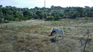 Terreno em Castelo Branco · 8560 m² · 49 920 €