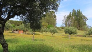 Land for sale in Castelo Branco, Portugal — €18,900