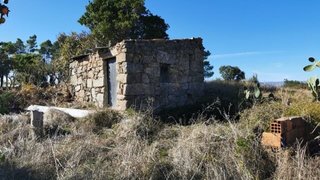 Terreno de 3875 m² em Castelo Branco