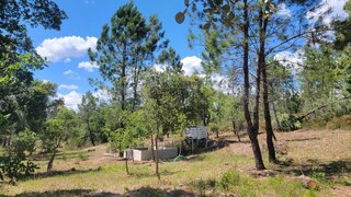 Terreno de 4000 m² em Castelo Branco