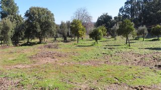 Land for sale in Idanha-a-Nova, Portugal — €84,500