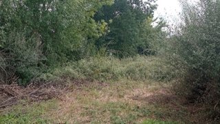 Land for sale in Penamacor, Portugal — €7,500