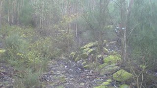 Land for sale in Penafiel, Portugal — €25,000