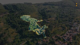 Terreno de 9640 m² em Castelo Branco