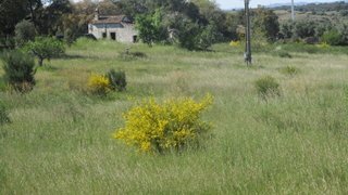 Land for sale in Castelo Branco, Portugal — €350,000