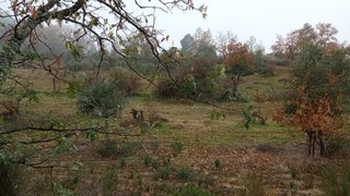 Land for sale in Penamacor, Portugal — €19,000