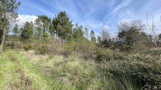 Terreno · 1080 m² · 3000 €