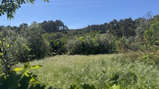 Land for sale in São Pedro do Sul, Portugal — €10,000