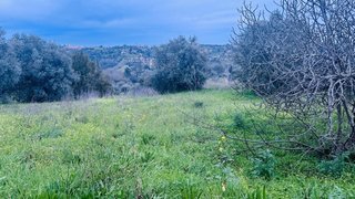 Land for sale in Torres Novas, Portugal — €37,000