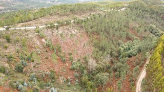 Land for sale in Abrantes, Portugal — €7,995