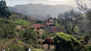 Land for sale in Arcos de Valdevez, Portugal — €29,500