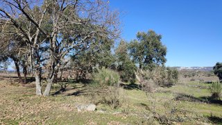 Land for sale in Penamacor, Portugal — €17,800