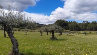 Land for sale in Fundão, Portugal — €47,000