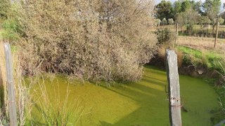 Terreno para venda em Fundão, Portugal — 61 500 €