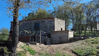Terreno para venda em Celorico da Beira, Portugal — 60 000 €