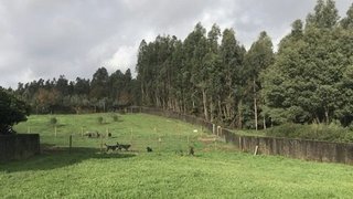 Land for sale in Albergaria-a-Velha, Portugal — €61,800