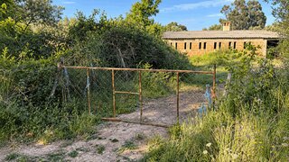 Terreno em Castelo Branco · 20 000 m² · 28 000 €