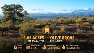 Terreno de 6680 m² em Castelo Branco