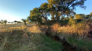 Land for sale in Penamacor, Portugal — €31,000