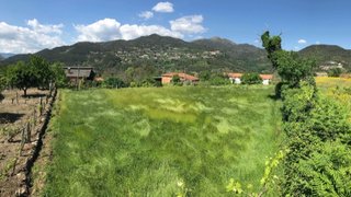 Land for sale in Oliveira de Frades, Portugal — €30,000