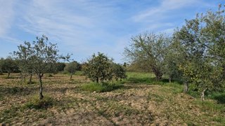 Land for sale in Idanha-a-Nova, Portugal — €26,600
