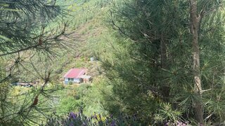 Land for sale in Arganil, Portugal — €28,950