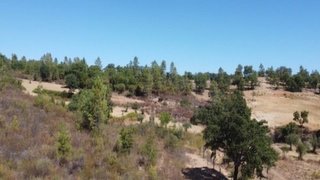 Terreno em Castelo Branco · 30 880 m² · 50 000 €