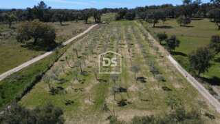 Land for sale in Castelo Branco, Portugal — €19,900