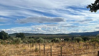 Land for sale in Fundão, Portugal — €15,490