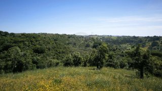 Land for sale in Santiago do Cacém, Portugal — €1,700,000