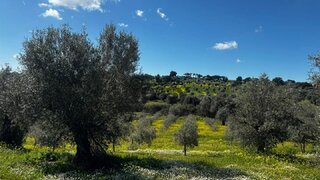 Land for sale in Portel, Portugal — €92,500